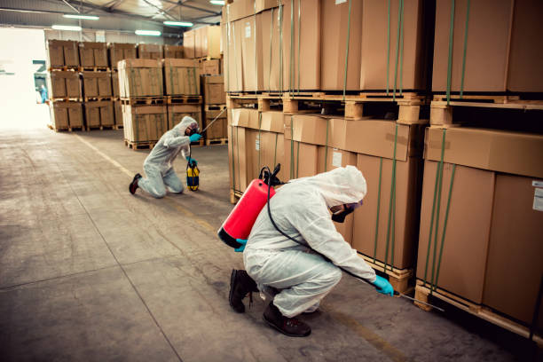 Best Exterminator Services  in Snyderville, UT