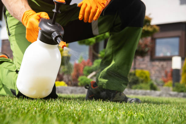 Best Commercial Pest Control Services  in Snyderville, UT