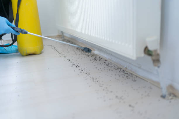 Best Affordable Pest Control Services  in Snyderville, UT