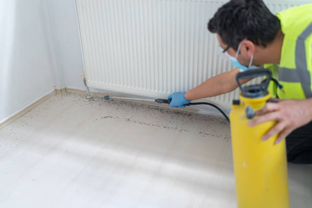 Best Pest Inspection Near Me  in Snyderville, UT