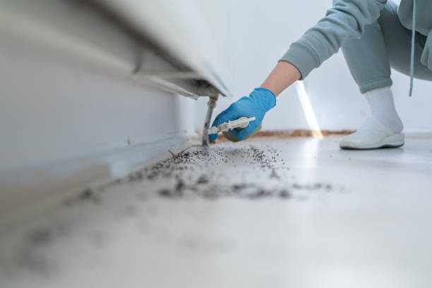 Best Mosquito Control Services  in Snyderville, UT